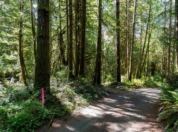1781 E Sunset Hill Rd, Shelton, WA 98584