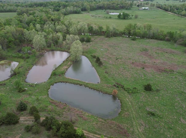 County Rd 8390, West Plains, MO 65775