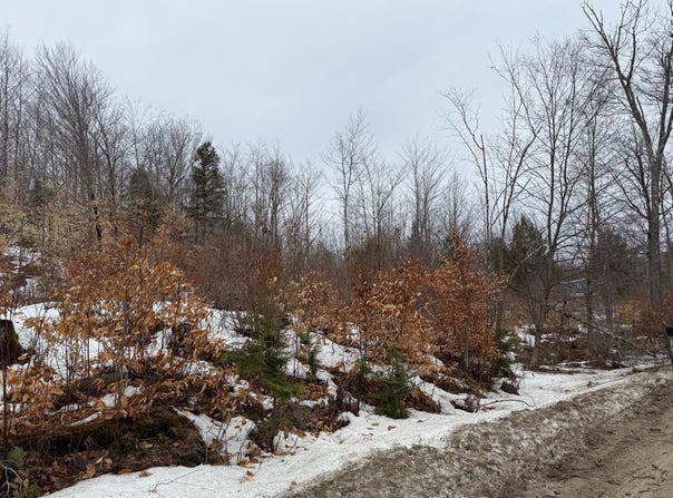 Buckfield, ME 04220