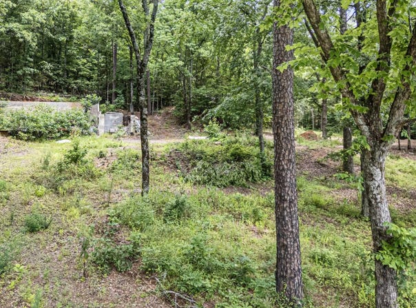1656 Walnut Valley Drive, Dover, AR 72837