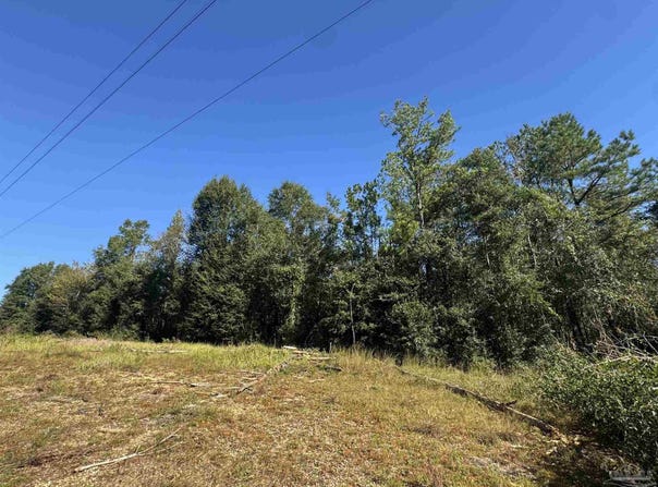 003 Van Hoosen Rd, Flomaton, AL 36441