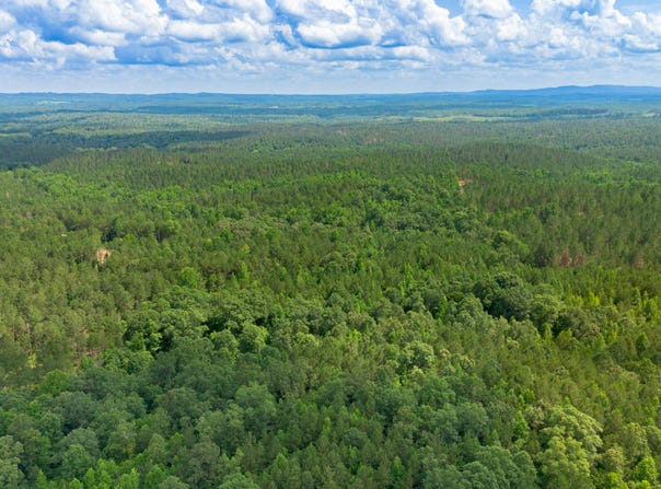Vinyard lot: 3, Fruithurst, AL 36262