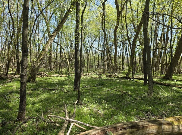 V/L Bellevue, Bellevue, MI 49021