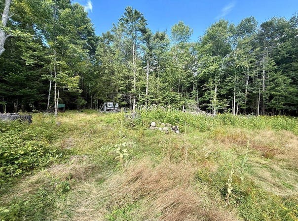 264 Windfall Road, Wells, NY 12190
