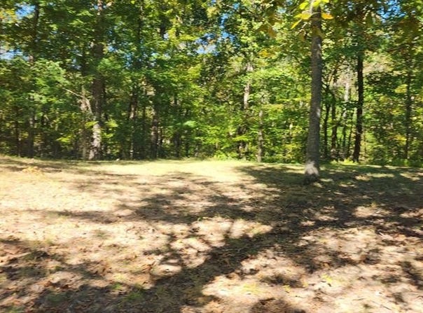 Clydesdale Circle, CAMDEN, TN 38320