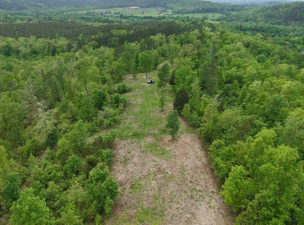 Ryan Road, Oden, AR 71961
