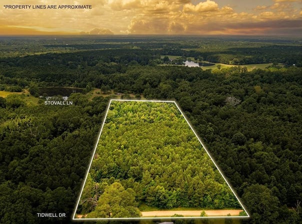 Parcel 3 Stovall Ln, Summit, MS 39666