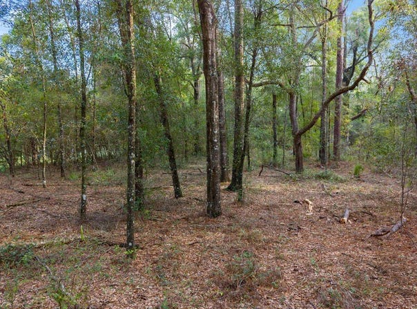 0001 NE 807th Ave, Old Town, FL 32680