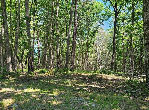 Bluffview Dr, Dunlap, TN 37327