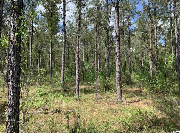 OLD DODSON ROAD, Dodson, LA 71422