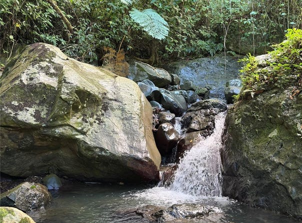 CAM. LA VEGA, OROCOVIS, 00720
