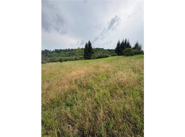 8605 - Lot 1 County Route 96, Hammondsport, NY 14840