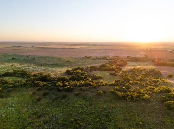 E 1950 Rd- 211 acres, Davidson, OK 73530