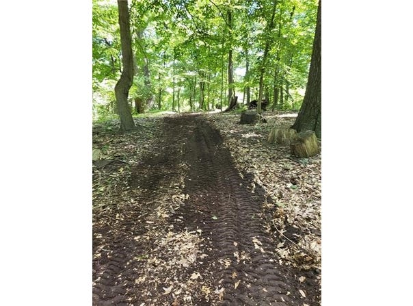 Holland Dr, O'Hara, PA 15238