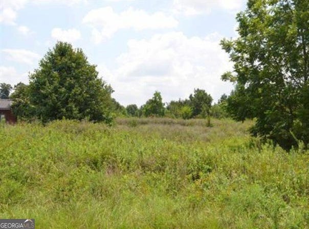 Gunn Road, Byron, GA 31008