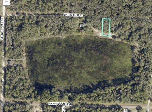 35084 Batesfield Street, Webster, FL 33597