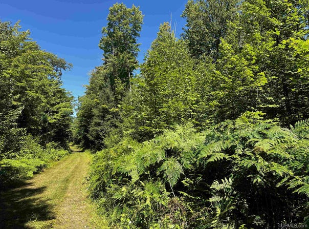 56 Acres Halverson Road, Skandia, MI 49885