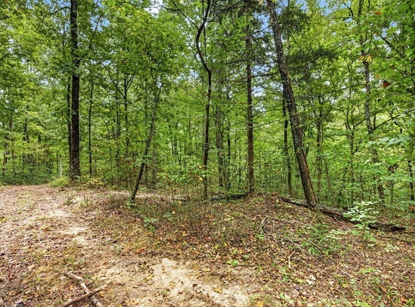 Timber Ridge Lane- Phase Ii lot: 23, Celina, TN 38551