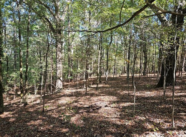 Ales Rd, BATESVILLE, MS 38606