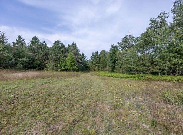 0 S 27 ROAD, CADILLAC, MI 49601