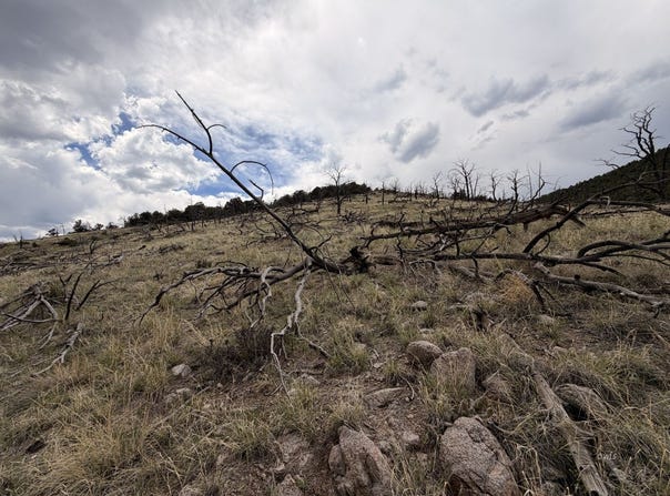 J Path, Cotopaxi, CO 81223