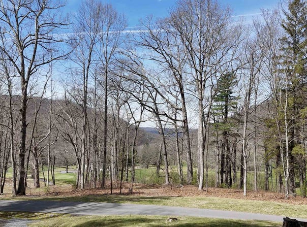 61 & 62 OLD COURSE TRL, HOT SPRINGS, VA 24445