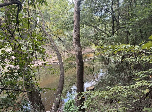 18500 Brooklyn Rd, Evergreen, AL 36401