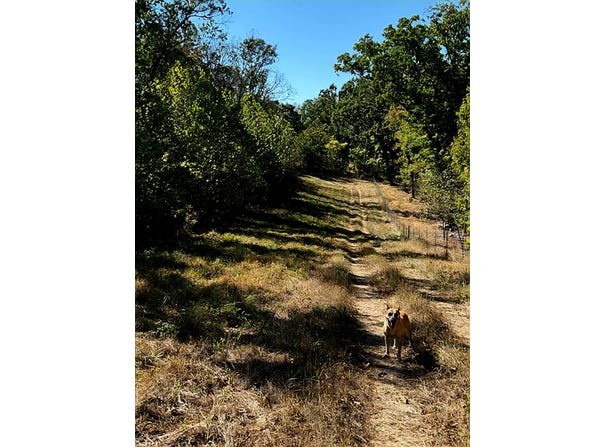 Yy Highway, Cabool, MO 65689