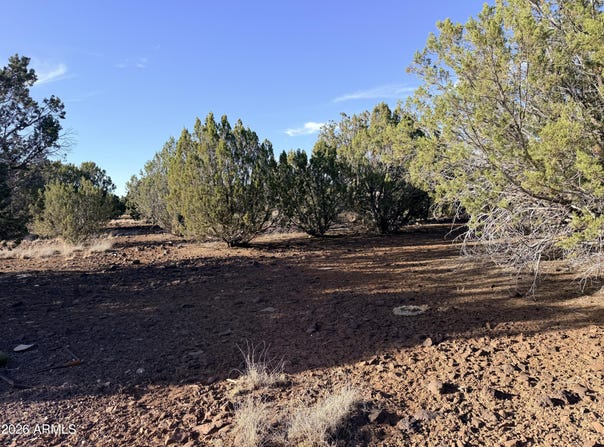 9070 PINTO Trail, Show Low, AZ 85901