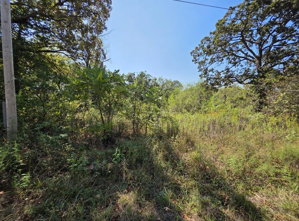 E Abbott Road, Schell City, MO 64783