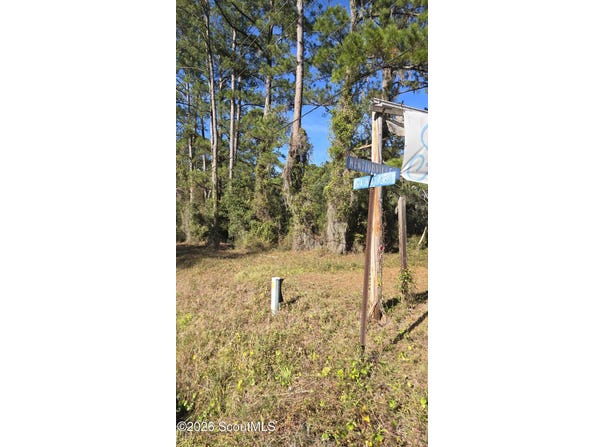 14089 Georgia 251, Darien, GA 31305