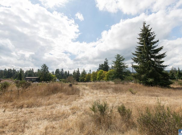 Secor Road lot: 4, Sequim, WA 98382-0000
