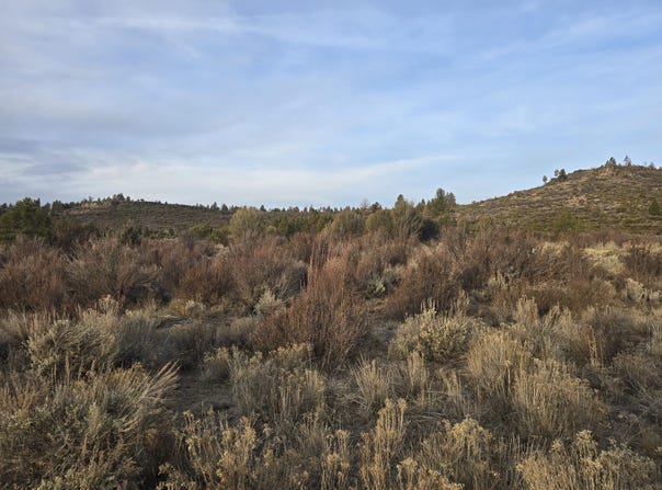 Tableland Road, Sprague River, OR 97639