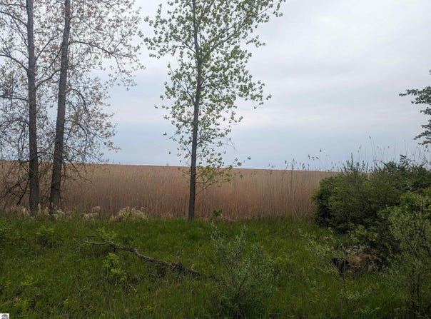 Michigan Avenue, Au Gres, MI 48703