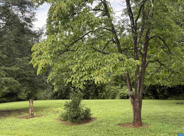 850 tbd EMERSON DR lot: 059C1-02-00-03000, CHARLOTTESVILLE, VA 22901