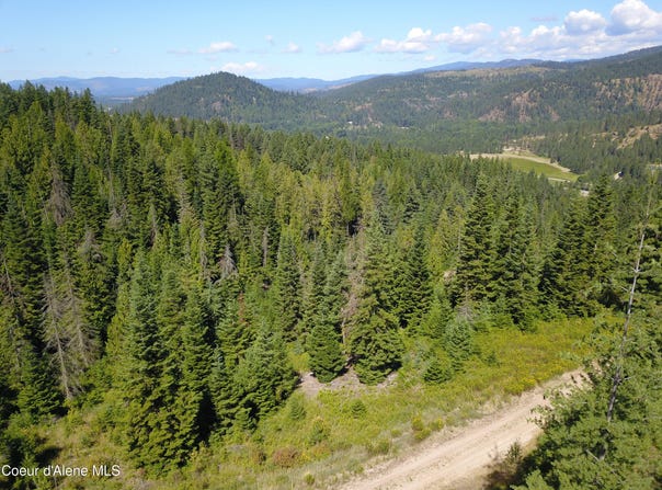 10 Kingston Way, Kingston, ID 83839