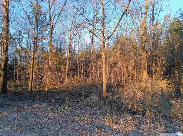ZUBERS ROAD lot: 0, SYLACAUGA, AL 35150