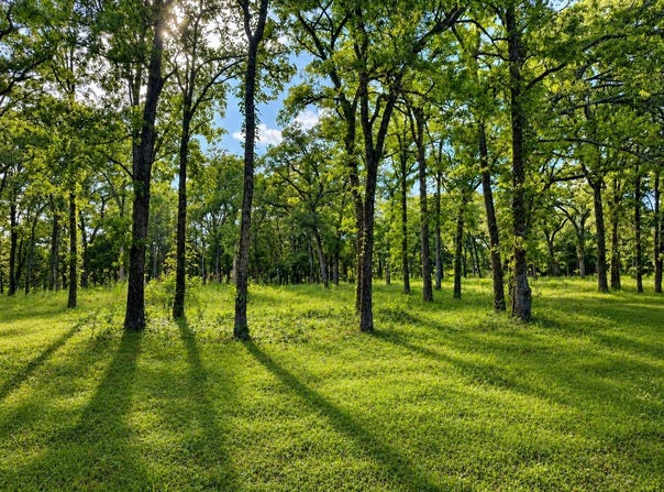 County Road 1503, Point, TX 75472