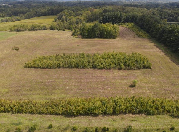 SR 1 lot: 3, West Harrison, IN 47060