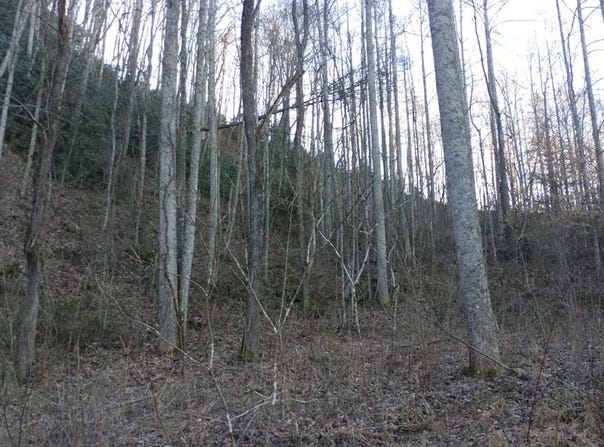 Red Hawk Bluff lot: 16, Dillsboro, NC 28725