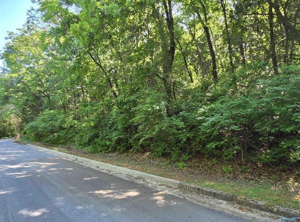 10146 Skylark Drive, Huntsville, AL 35803