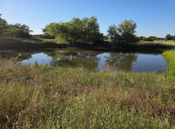 C. R. 2610, Ivanhoe, TX 75447