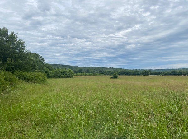 HWY 16 Ar-16, Elkins, AR 72727
