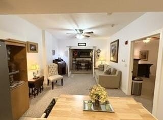 180 Grace Chapel Road, Blue Eye, MO 65611