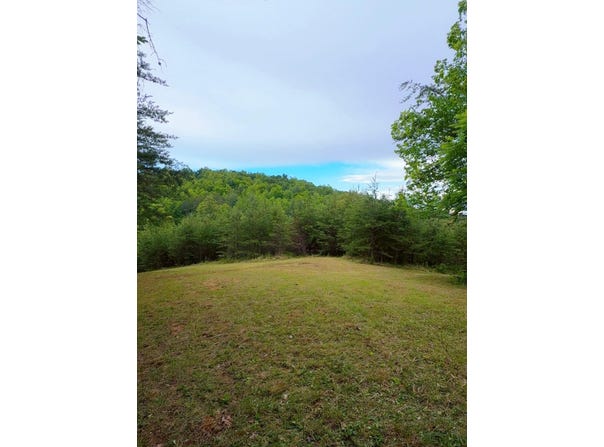 Bear Ln, Ferrum, VA 24088
