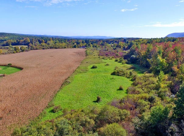 99 Creamery Rd, Egremont, MA 01252