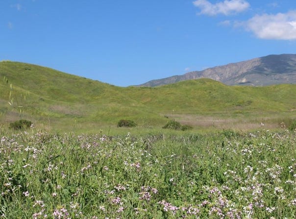 0 Dickenson Road, Santa Paula, CA 93060