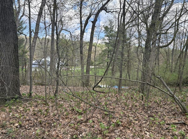 8091 Poplar Drive, Reading, MI 49274