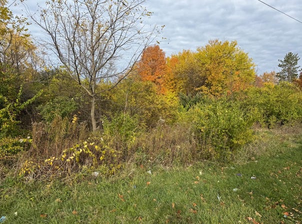 179 Collins Avenue, Benton Harbor, MI 49022