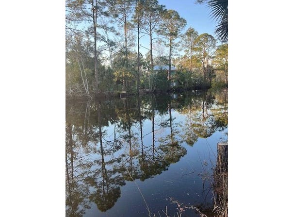 80 SE 352nd St, Suwannee, FL 32680